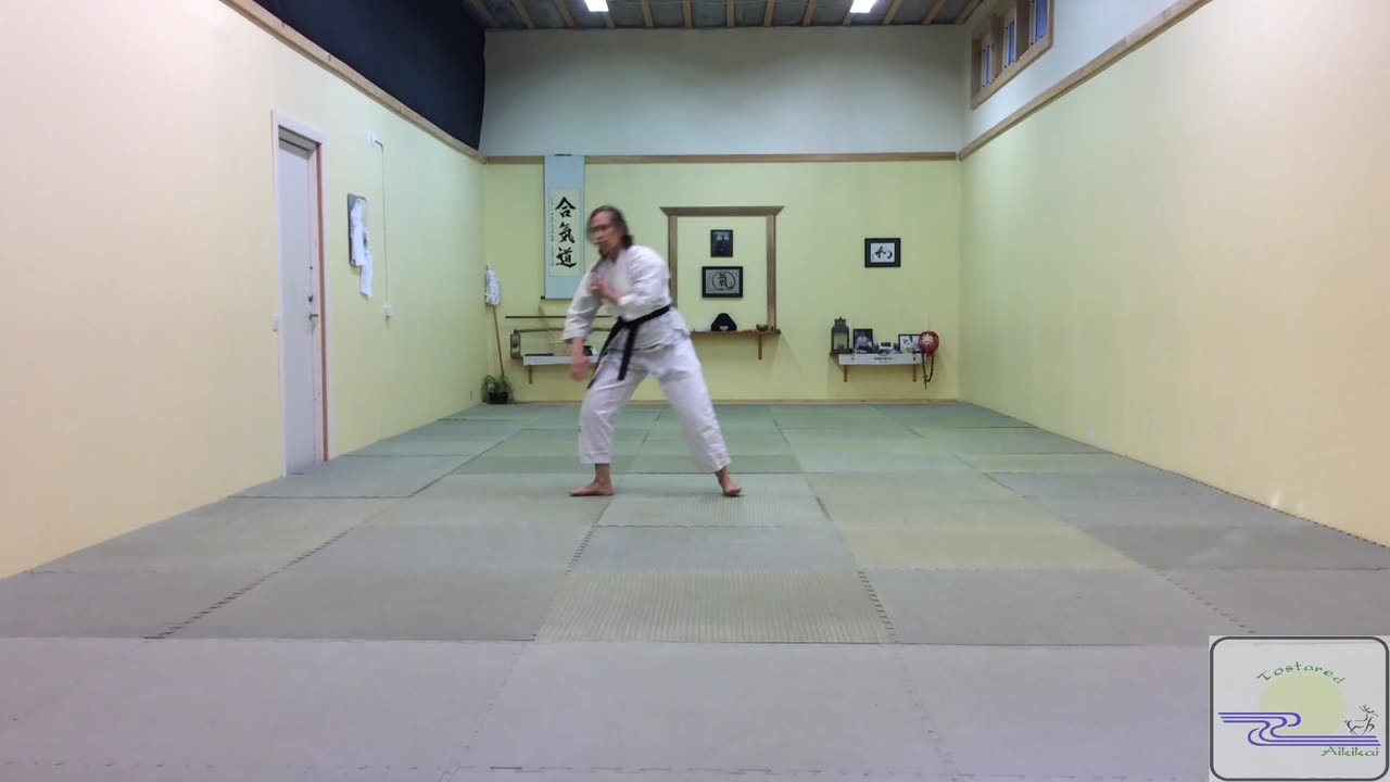 Shomen Uchi Irimi Nage