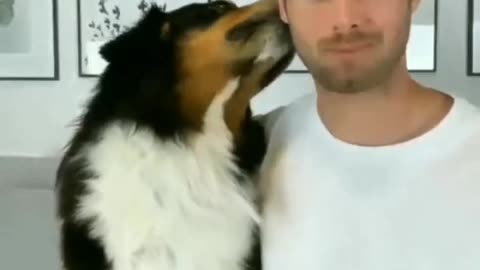 Funny animals traning video| Traning video | Free dog training