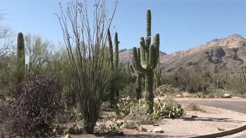 Visitor Center