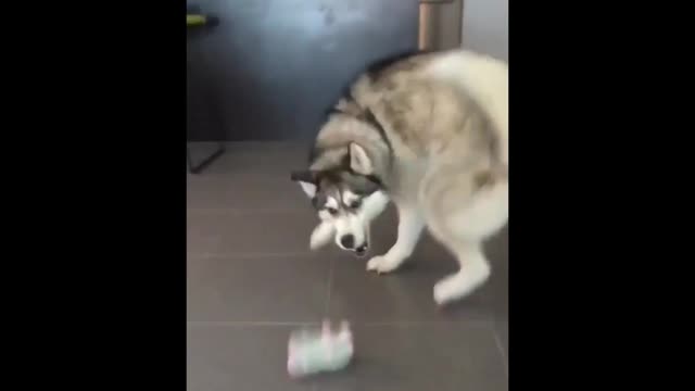 看我厉害吗?