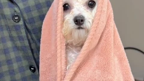 News Break: Living it up