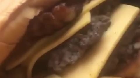 hamburger and fries
