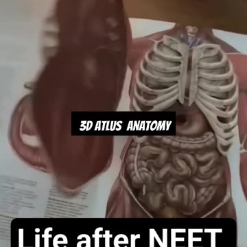 Anatomy MBBS 1Year#shorts#MBBS.