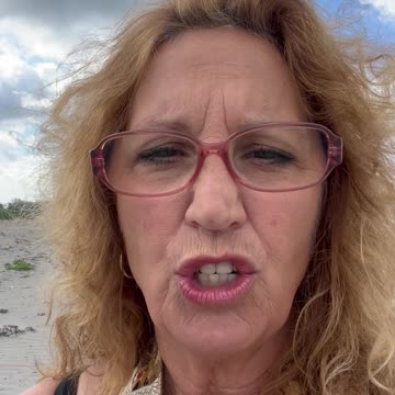 Beaching it in Maine PipingPloversTerns