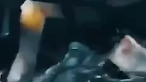 My jsme Rusové s námi je Bůh