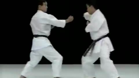 Wada Ryu Karate
