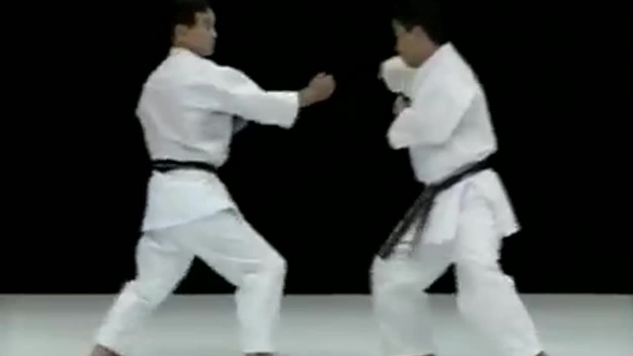 Wada Ryu Karate