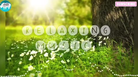 Relaxing Music | Sleeping, Meditation, Stress Relief | [7321] ⭐️