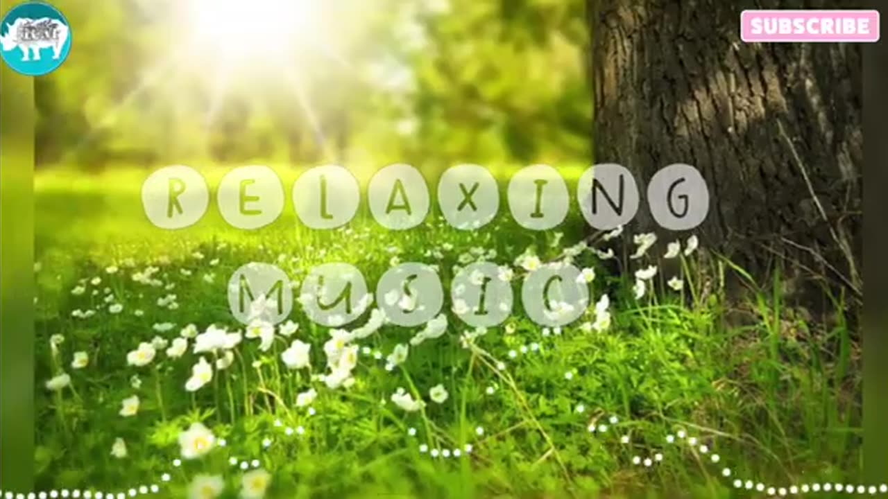 Relaxing Music | Sleeping, Meditation, Stress Relief | [7321] ⭐️
