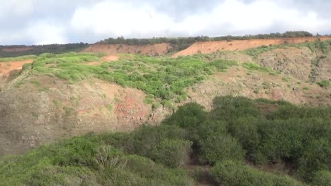 Lana'i City, HI — Koloiki Ridge Trail