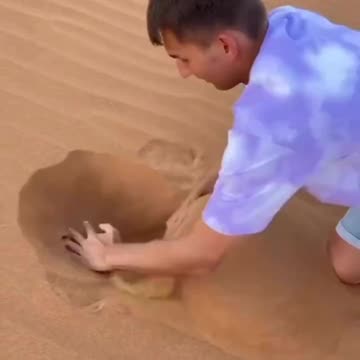 Man finds something amazing in the middle of the desert...