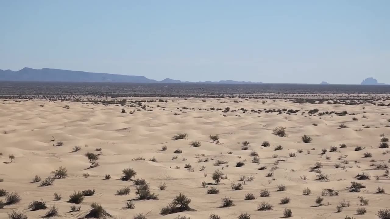 Mr. Beast I survived 15 days in the Dessert