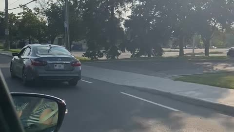 Doggy Enjoys Windy Ride