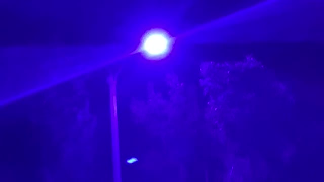 Black lights in Seal Beach California. It’s real.