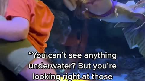 "You can't see anything underwater? But you're looking right at those people!”Ama