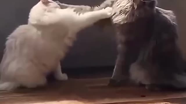 Pays to have a longer reach