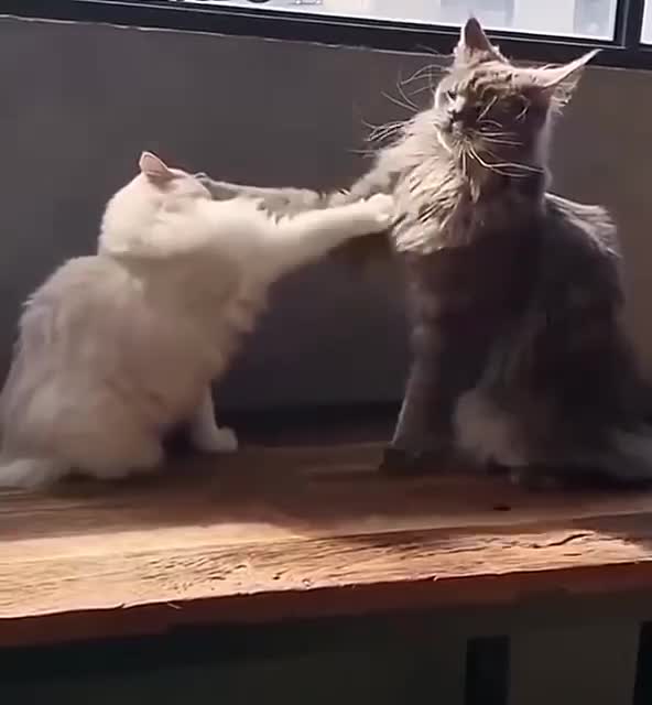 Pays to have a longer reach