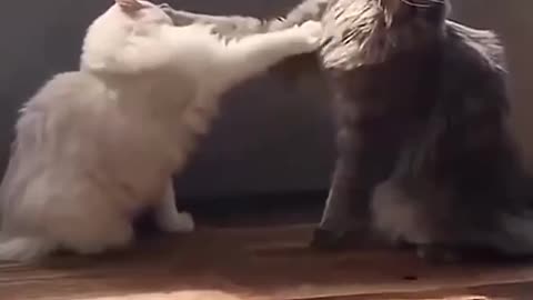 Pays to have a longer reach