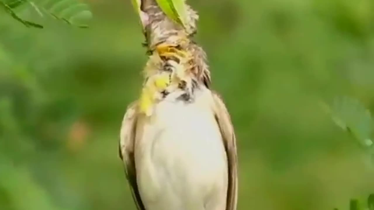 Wildlife in closer view with a natural perspective.