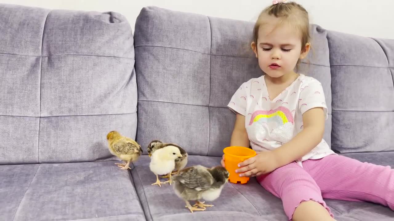 Adorable Baby Girl Gives Baby Chicks to Drink Water