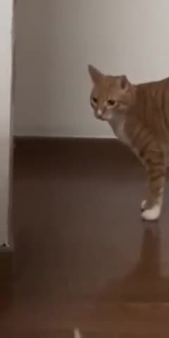 When the element of surprise is lost