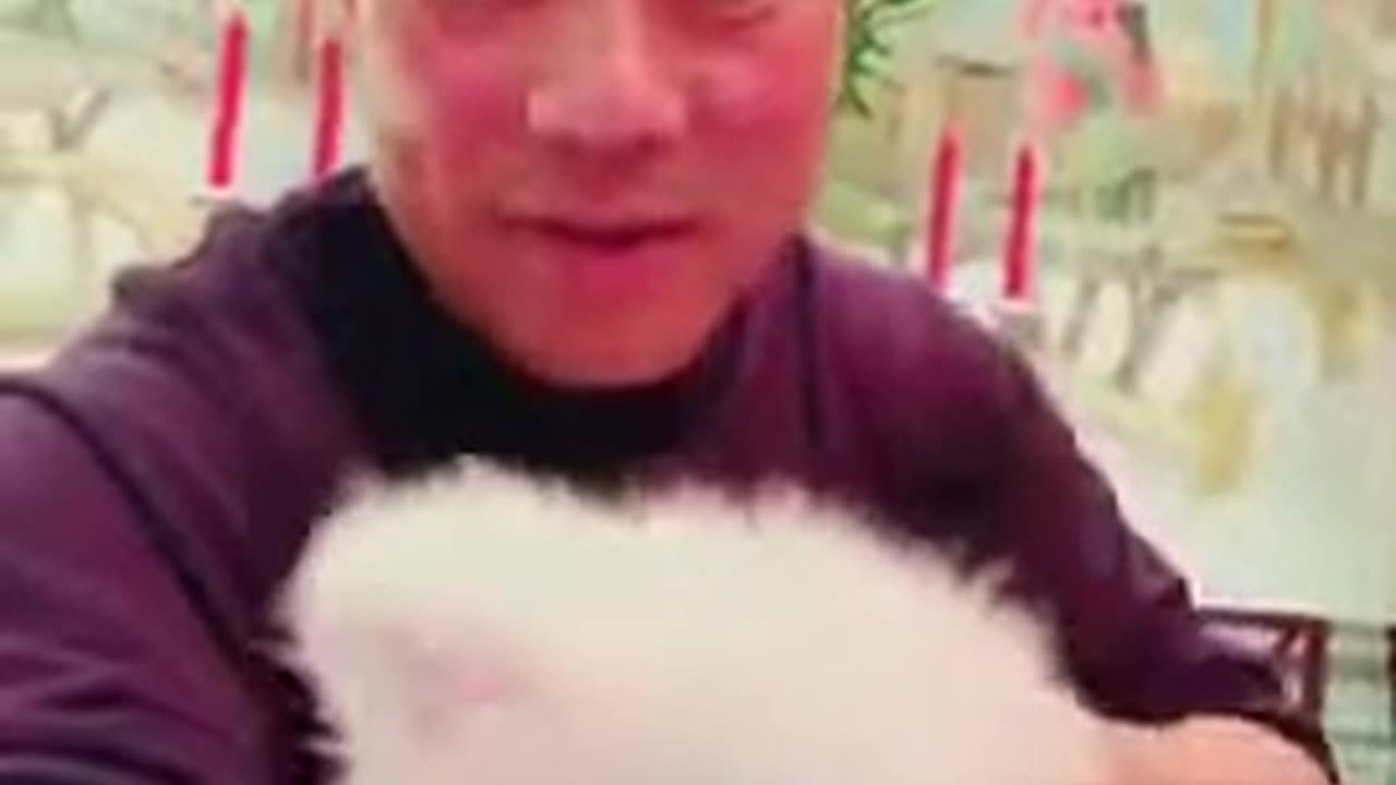 20180219文贵先生视频²：Snow咋这么可爱呢