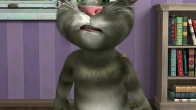 Funny Video,Talking Tom 2