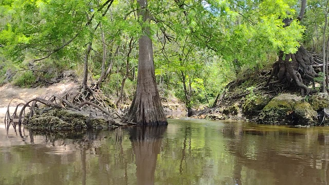 Charles Spring Run