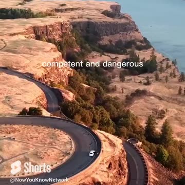 Jordan Peterson Motivation | Mentality Matters