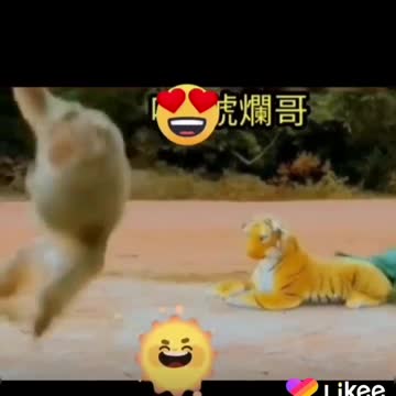 The scary monkey 😂😂😂😂