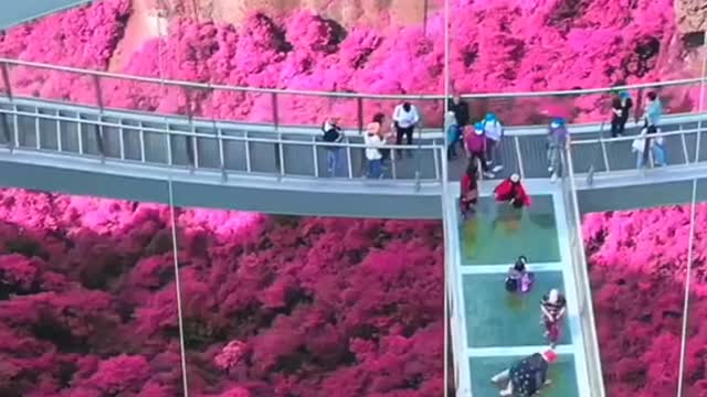 THE new home found by the Edison family at Po