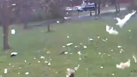 House explosion caught on camera