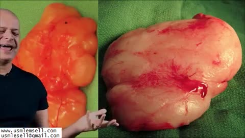 Dermatology - Section 2 - MedQuest