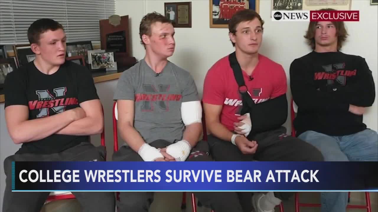 BEAR ATTACK College wrestlers ambushed in gruesome grizzly bear attack while hunting