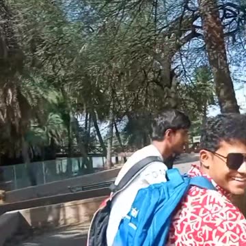 My friend is animal #funny #animal