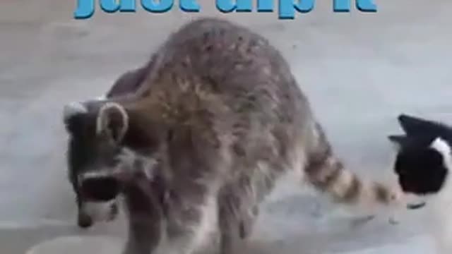 What Gary didn’t know, is what he would go on later to actually start.