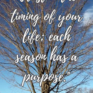 🍁 Trust Life's Timing 🍁