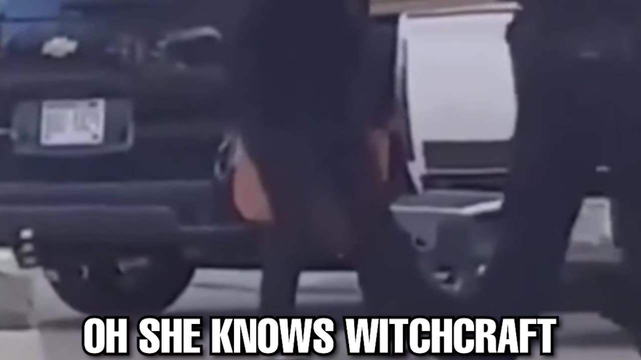 Karen gets tased by cop