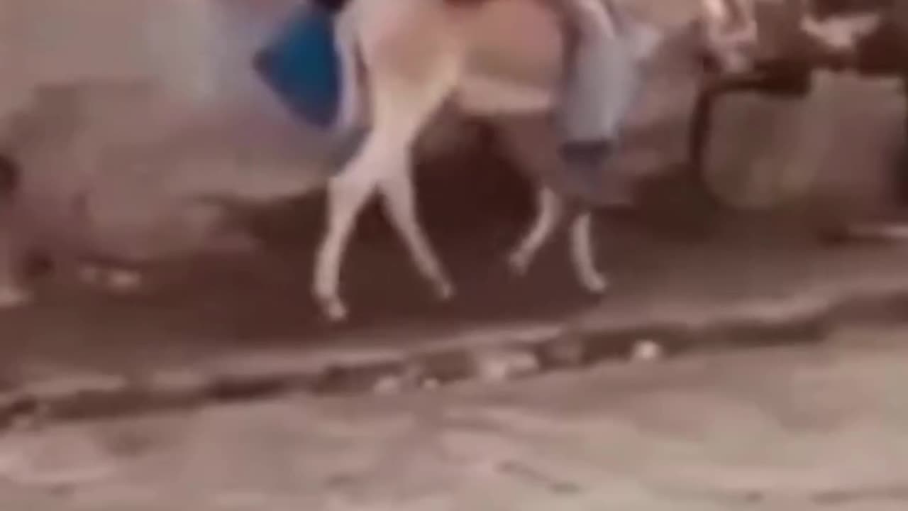 Good and comfortable 🤣🤣