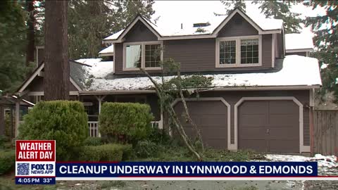 Cleanup underway in Lynnwood and Edmonds after high winds took trees down FOX 13 Seattle