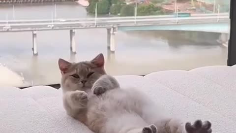 "just five more minutes"