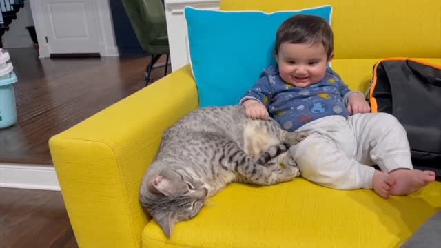 The babby play with cat