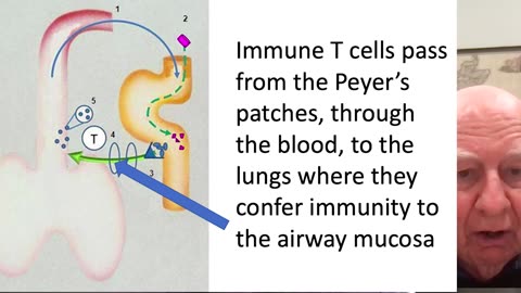 New safe immunization method