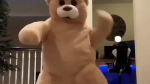 Cute teddy dance🐻