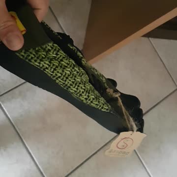 Aspad five finger shoes