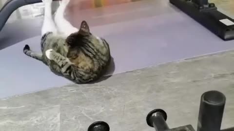 Workout time 💪