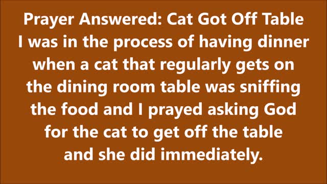 Prayer Answered: Cat Got Off Table