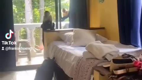 burglar in Costa Rica