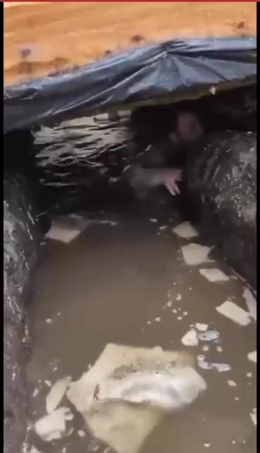 Diving into Flooded Trenches