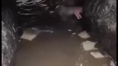 Diving into Flooded Trenches